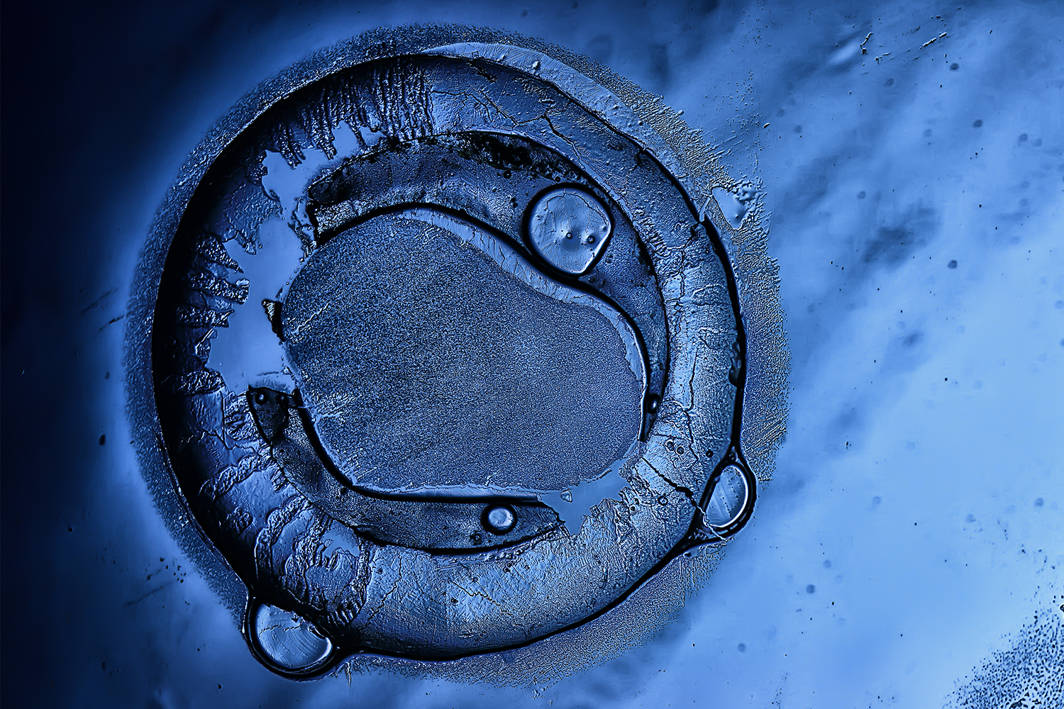 Криопрезервација на ембриони