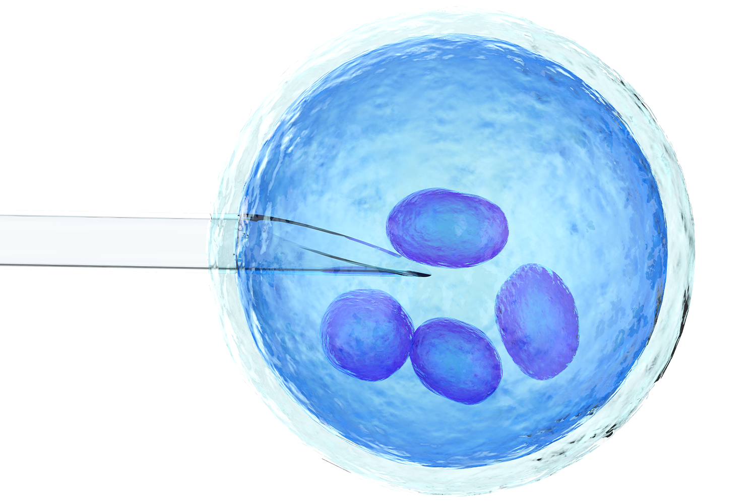 Пренос на криопрезервиран биолошки материјал од други ИВФ лаборатории