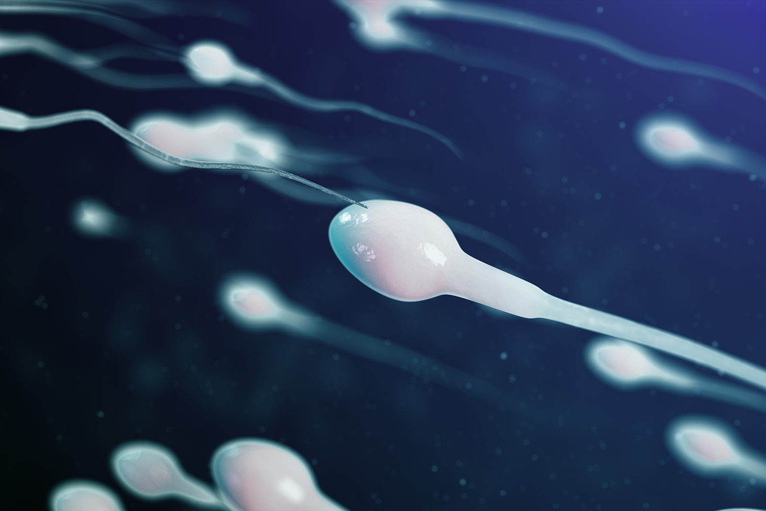 Спермограм