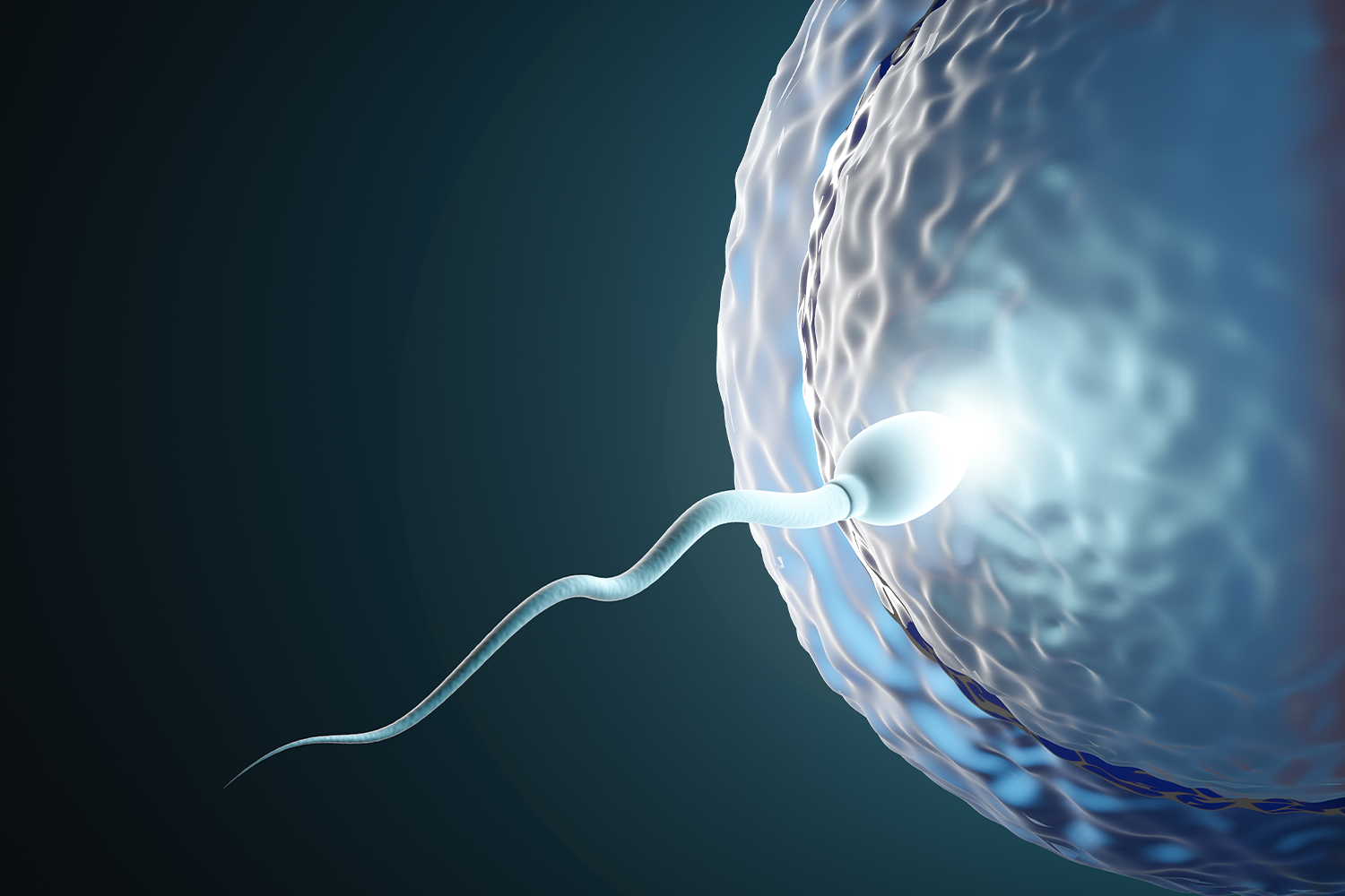 Интраутерина инсеминација