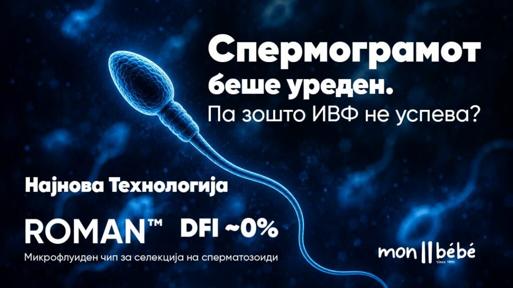 роман