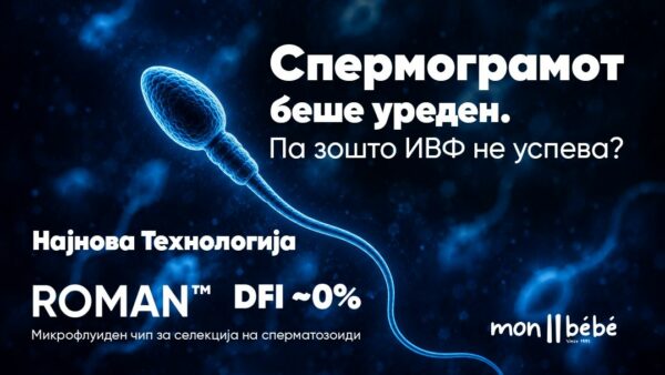 роман
